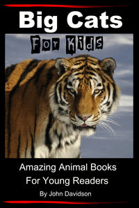 Big Cats For Kids - Amazing Animal Books for Young Readers