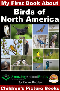 My First Book about Birds of North America - Amazing Animal Books