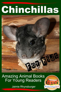 Chinchillas - For Kids - Amazing Animal Books For Young Readers