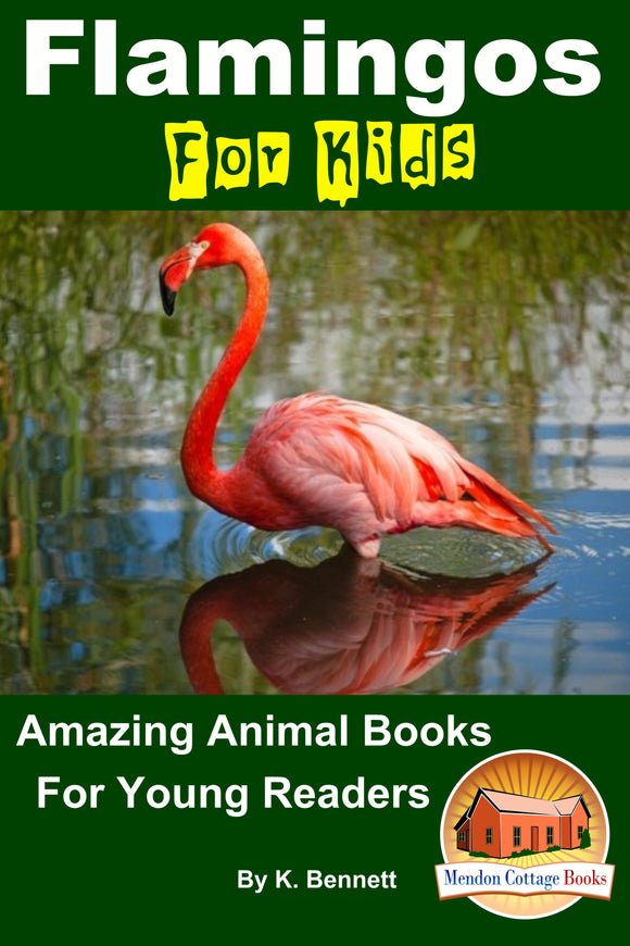 Flamingos For Kids  Amazing Animal Books For Young Readers