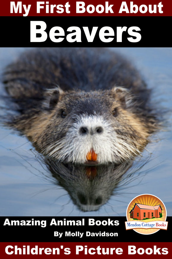 My First Book About Beavers - Amazing Animal Books
