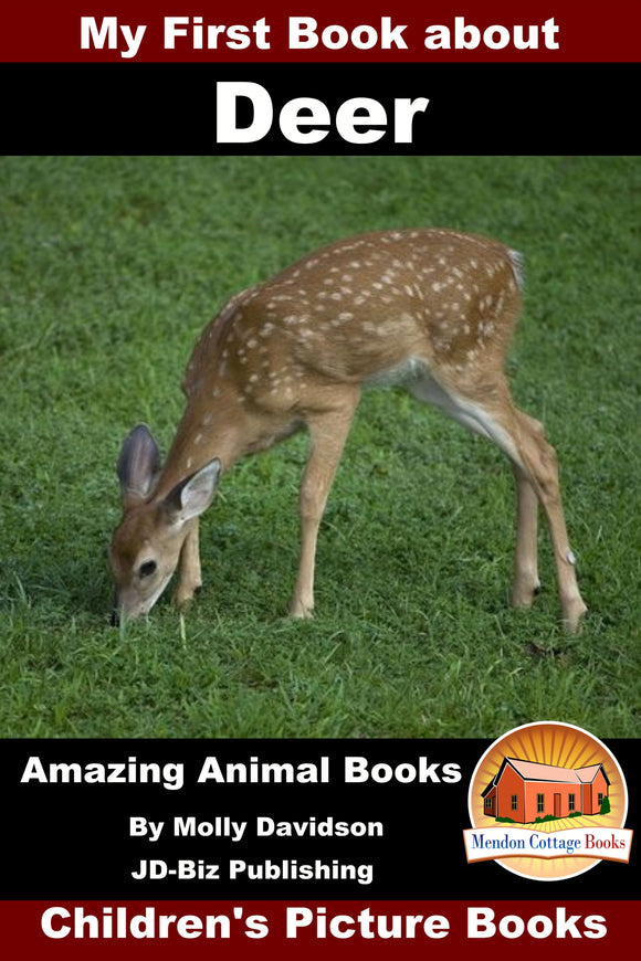 My First Book about Deer Amazing Animal Books Children's Picture Books