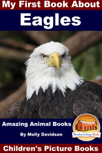 My First Book about Eagles - Amazing Animal Books