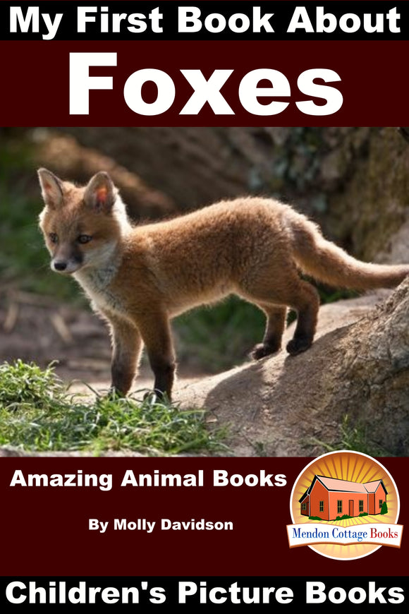 My First Book about Foxes - Amazing Animal Books