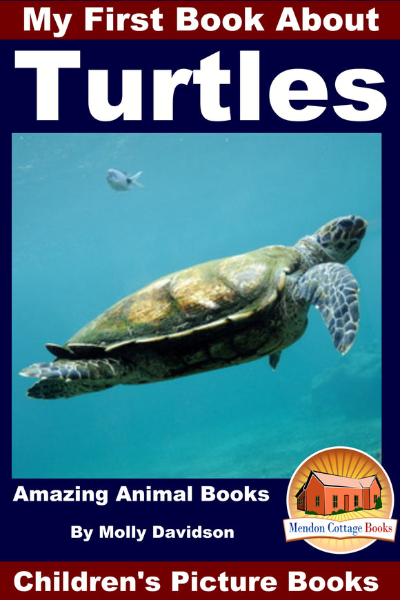 My First Book about the Turtles - Amazing Animal Books