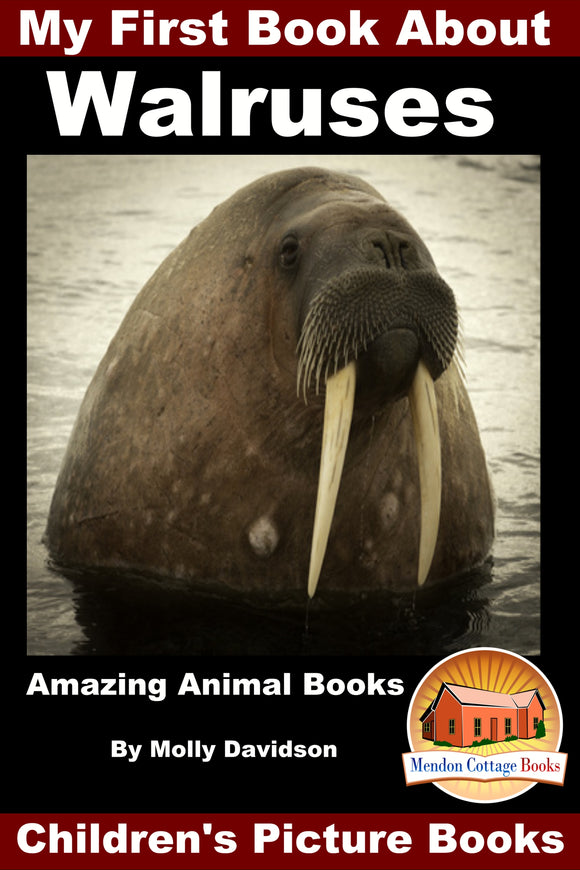My First Book about the Walruses - Amazing Animal Books