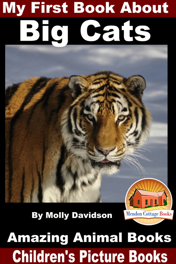 My First Book About Big Cats - Amazing Animal Books