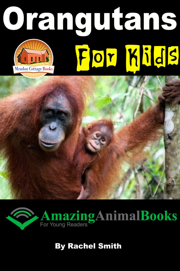 Orangutans For Kids  Amazing Animal Books For Young Readers
