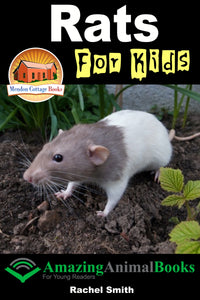 Rats For Kids-Amazing Animal Books For Young Readers
