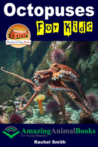 Octopuses For Kids  Amazing Animal Books For Young Readers