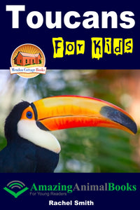 Toucans For Kids  Amazing Animal Books For Young Readers