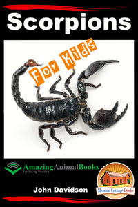 Scorpions For Kids Amazing Animal Books For Young Readers