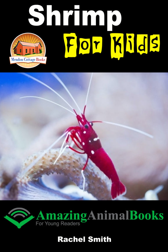 Shrimp For Kids-  Amazing Animal Books For Young Readers