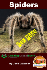 Spiders For Kids  Amazing Animal Books for Young Readers
