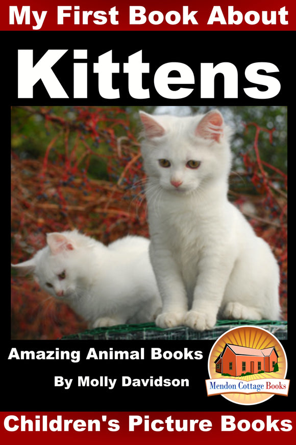 My First Book about the Kittens - Amazing Animal Books