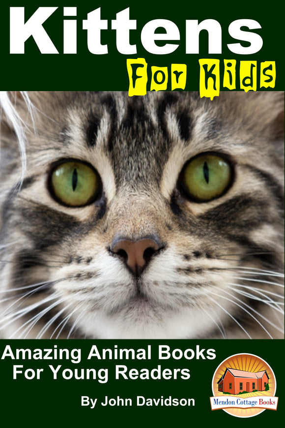 Kittens For Kids  - Amazing Animal Books for  Young Readers