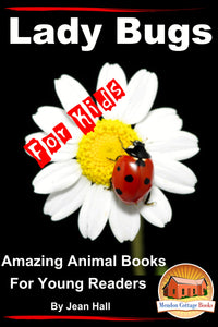 Lady Bugs For Kids-Amazing Animal Books for Young Readers