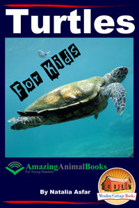 Turtles For Kids-Amazing Animal Books for  Young Readers